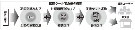 国際クール宅急便の概要